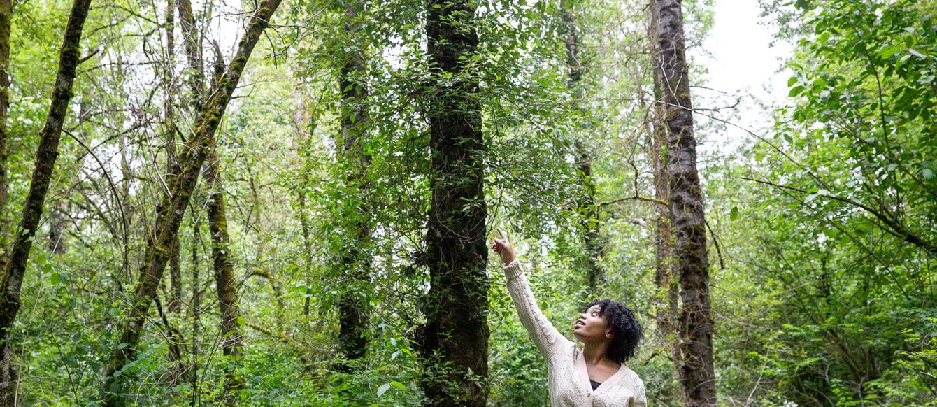 Kali Walker walks in the woods, her arm and gaze stretched upward toward the treetops