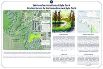 Wetland restoration at Kyle Park