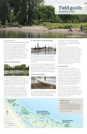 Boat ramps field guide