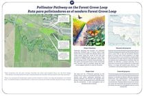 Pollinator Pathway on the Forest Grove Loop