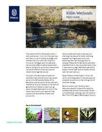 Killin Wetlands field guide 2021