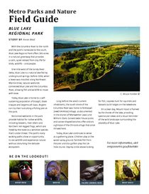 Blue Lake Field Guide