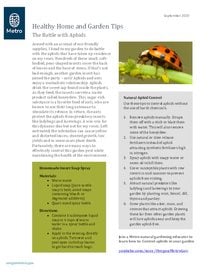 Healthy tips to deal with aphids and ants