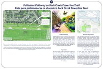 Pollinator Pathway on Rock Creek Powerline Trail