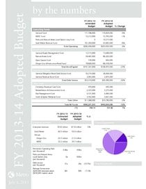 FY 2013-14 Budget by the numbers