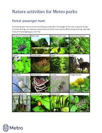 Forest scavenger hunt