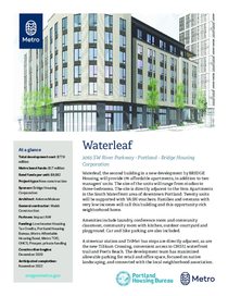 Waterleaf