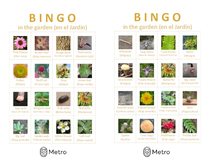 Natural gardening bingo cards