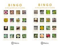 Natural gardening bingo cards