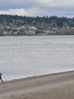 photo of a family walking along the beach