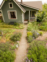 photo of a house and yard with native plants