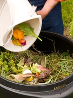 photo of composting food scraps