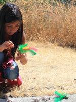 photo of Latino Greenspaces project