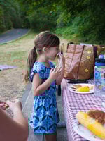 Girl at a picnic