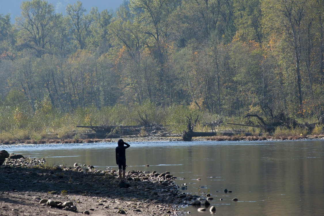 photo of a kid looking out over the Sandy River at Oxbow Regional Park