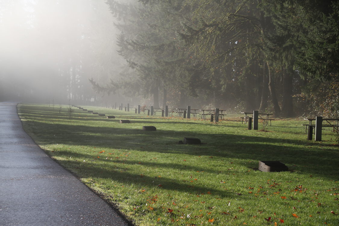 a photo of the Barton Park parking area on a foggy morning