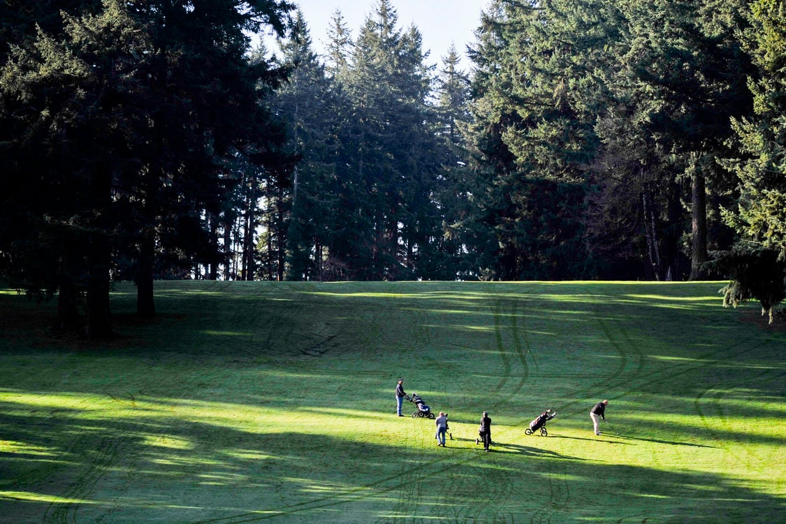 photo of golfers in the distance