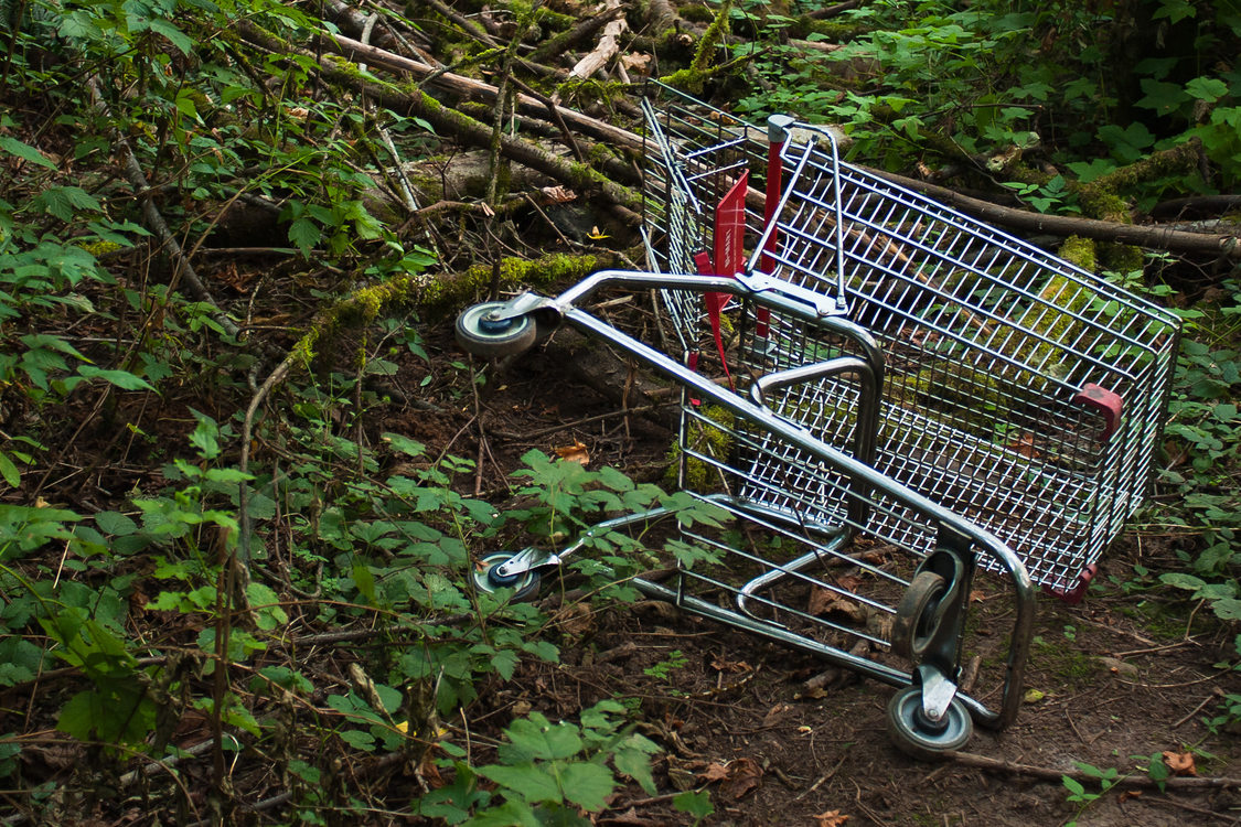 photo of abandoned shopping cart at Newell Creek Canyon