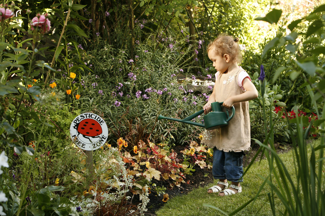 photo of child watering a garden