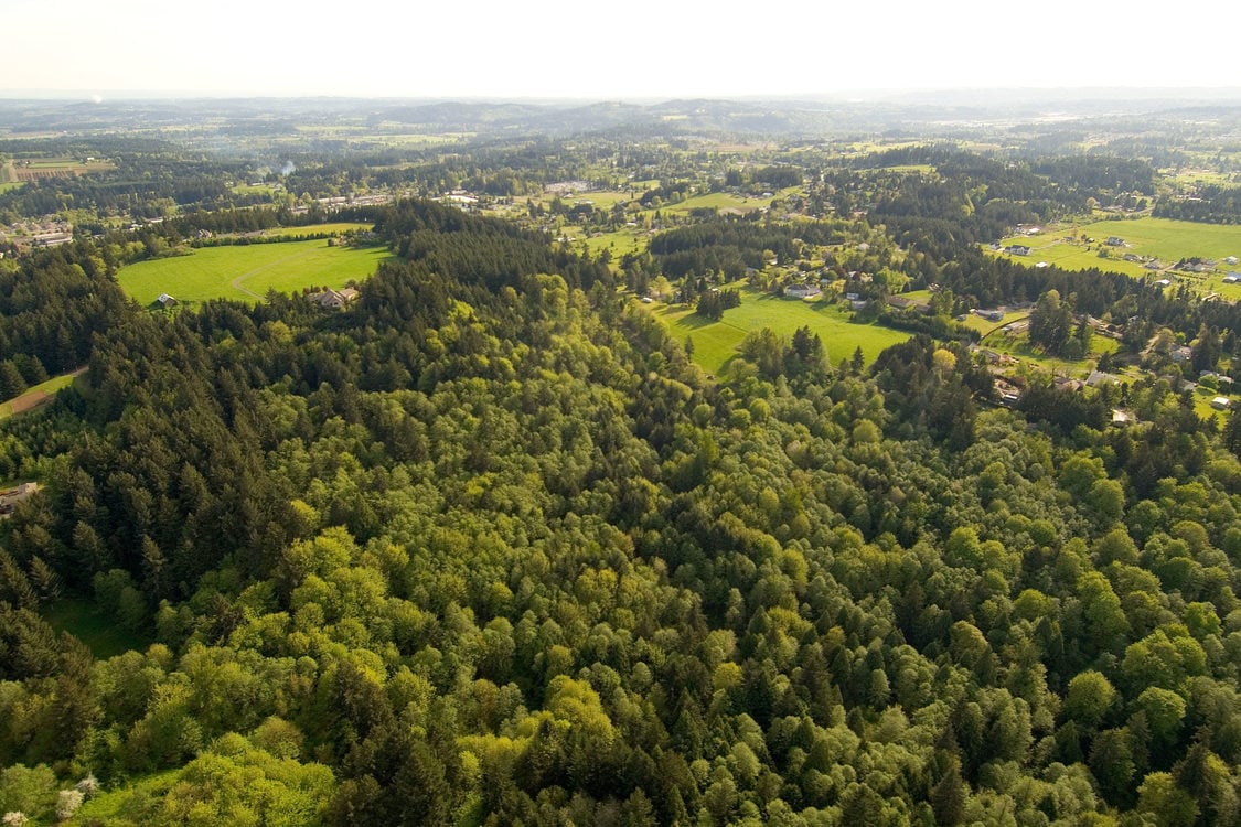 aerial photo of Scouters Mountain