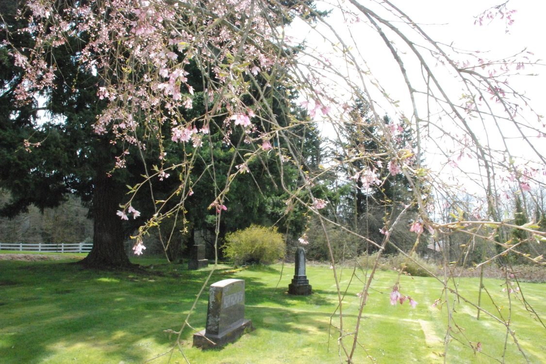 photo of Pleasant Home Cemetery