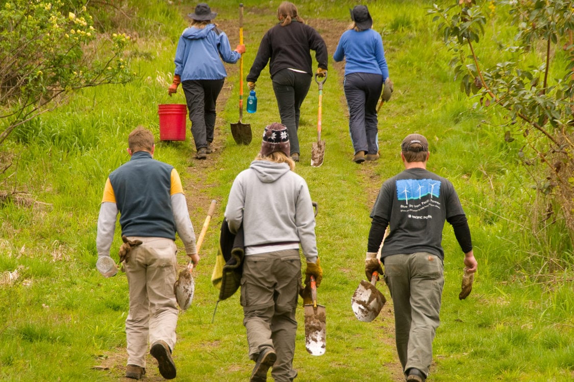 photo of volunteers