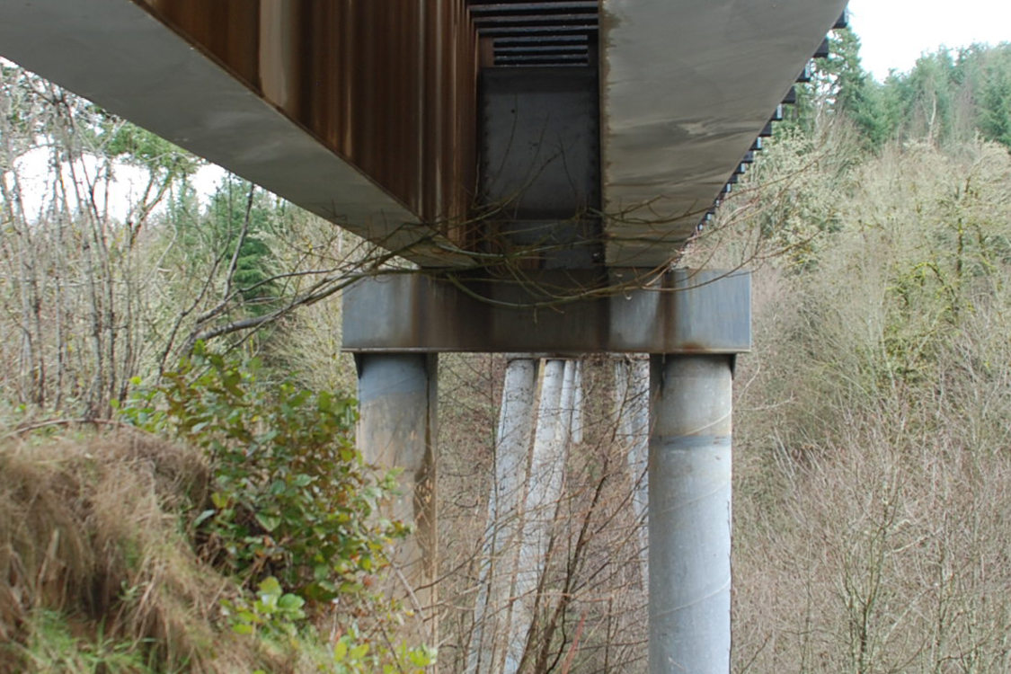 photo of North Tualatin Mountains natural area