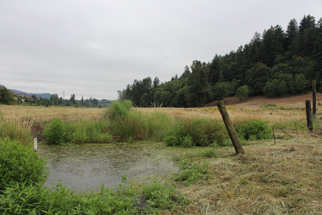 photo of Grant Butte Wetlands
