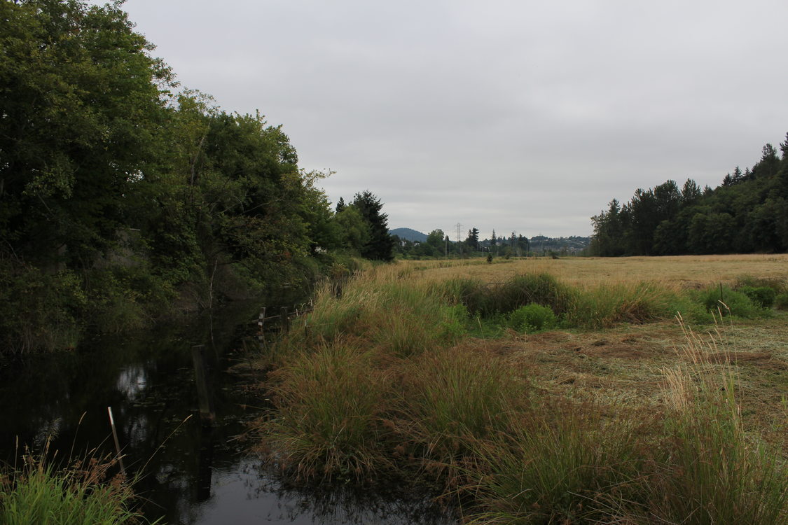 photo of Grant Butte Wetlands