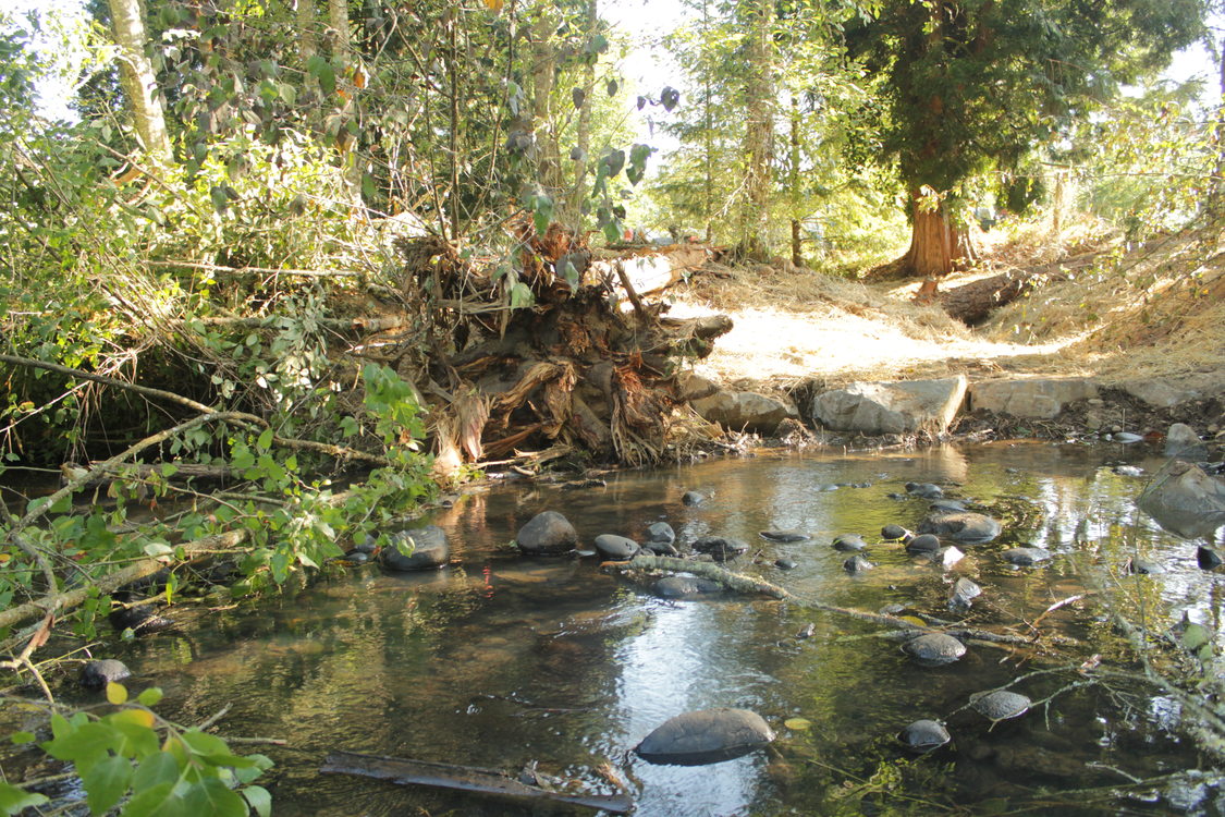 photo of Johnson Creek restoration work