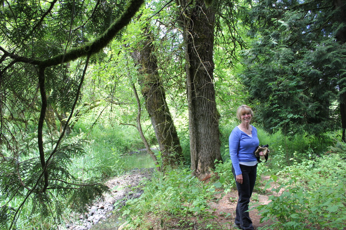 photo of Johnson Creek restoration work