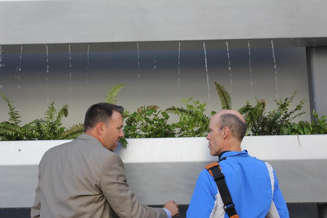 photo of Expo green wall