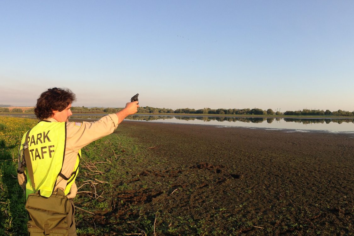 photo of Smith and Bybee Wetlands waterfowl diversion