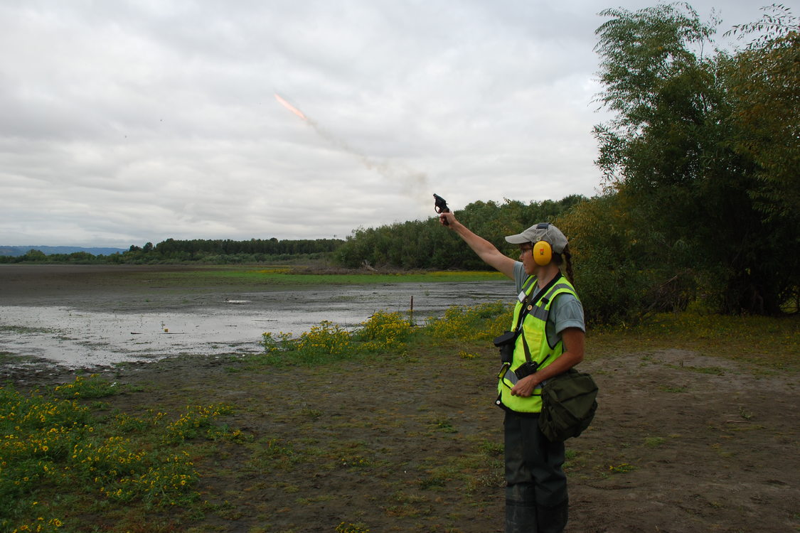 photo of Smith and Bybee waterfowl diversion