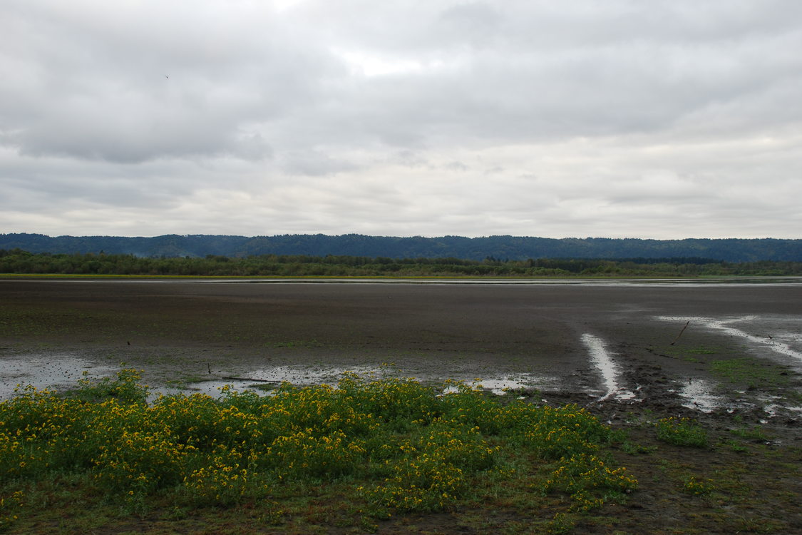 photo of Smith and Bybee waterfowl diversion