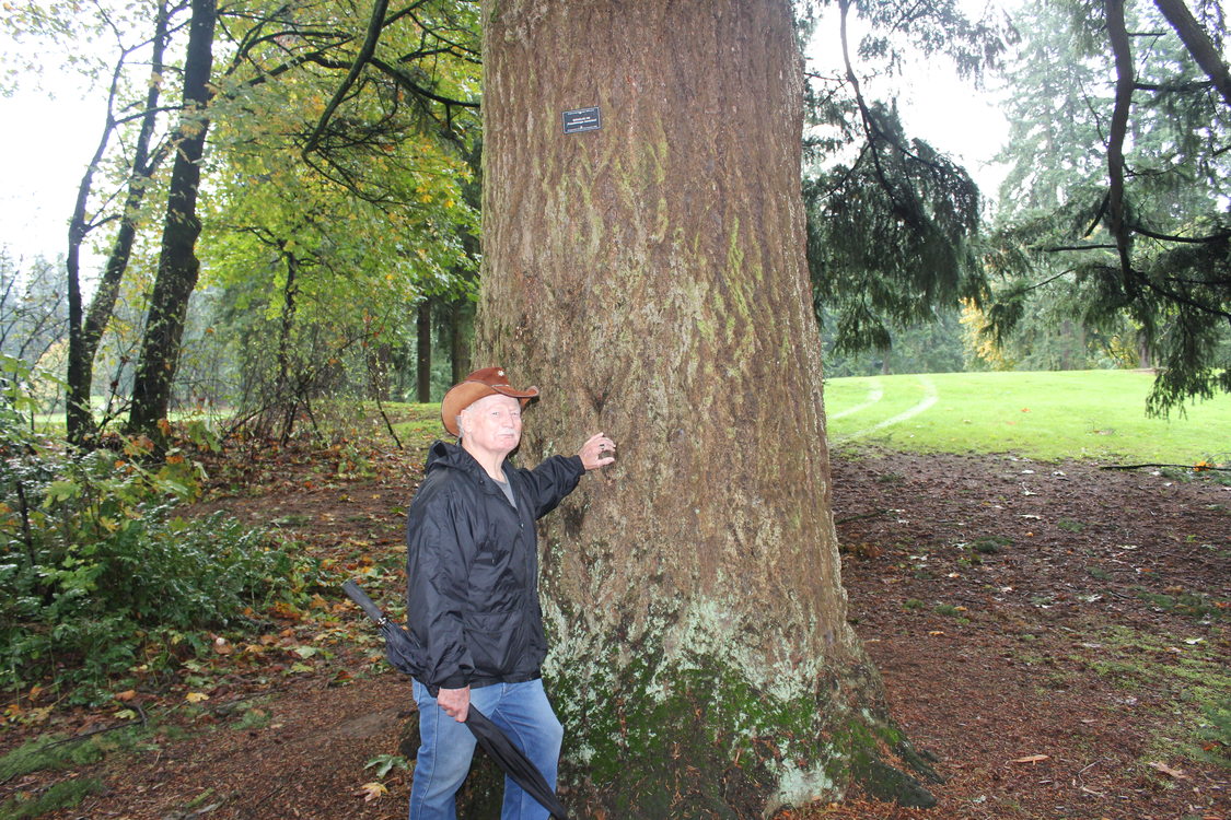 photo of Lloyd Daniels with Glendoveer heritage tree