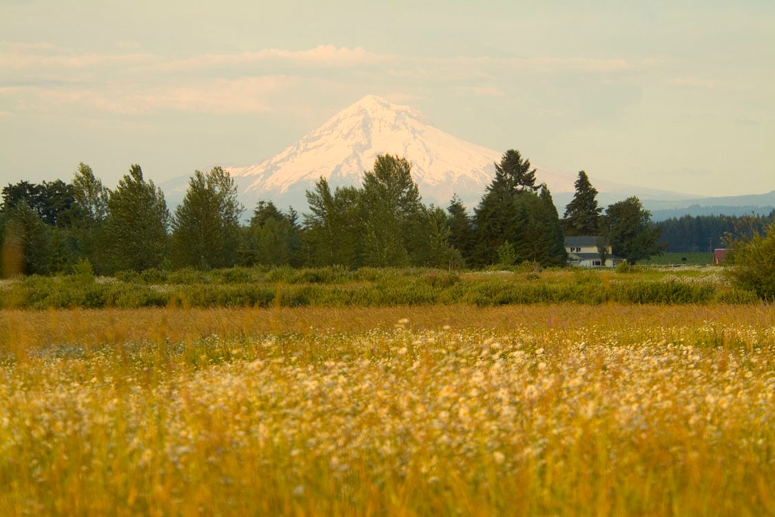 photo of Mount Hood