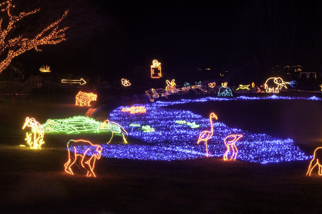 photo of ZooLights