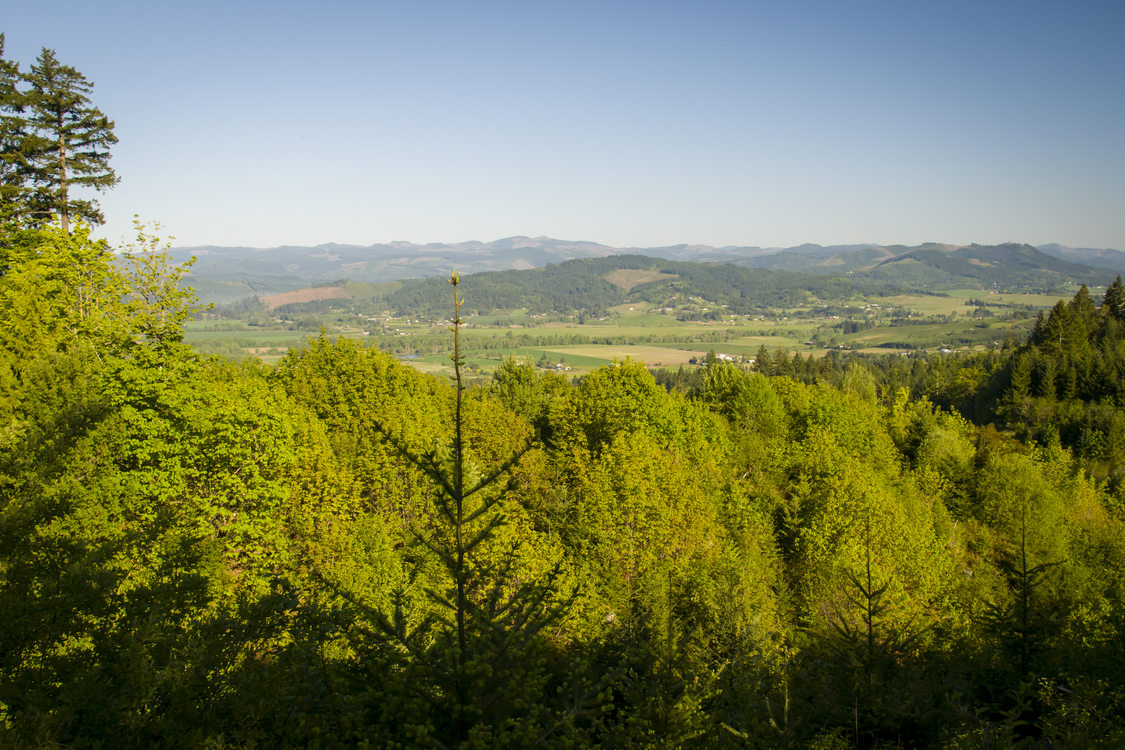 photo of Chehalem Ridge