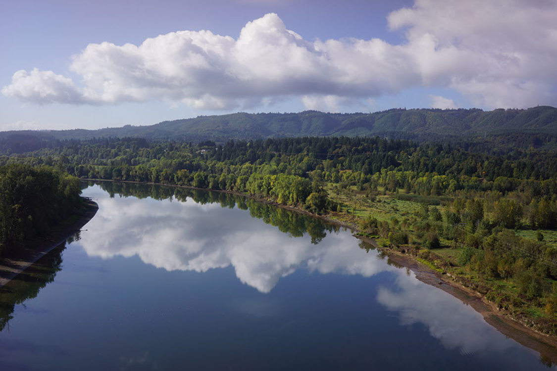 photo of Multnomah Channel Marsh