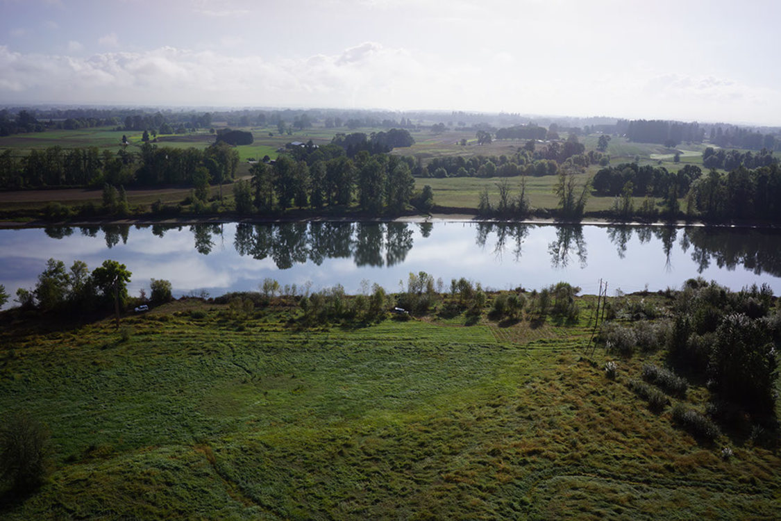 photo of Multnomah Channel Marsh