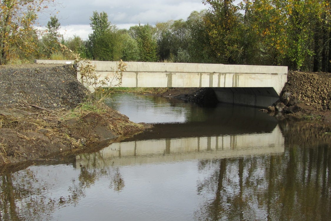 photo of Multnomah Channel Marsh