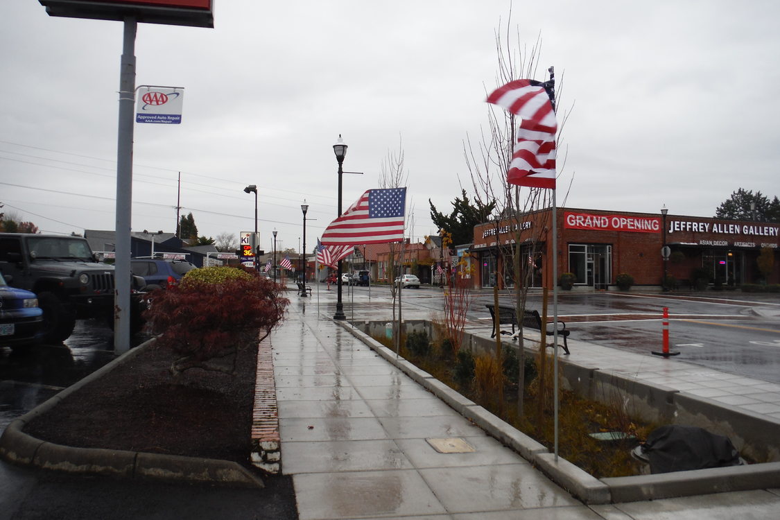 New Main Street green street design