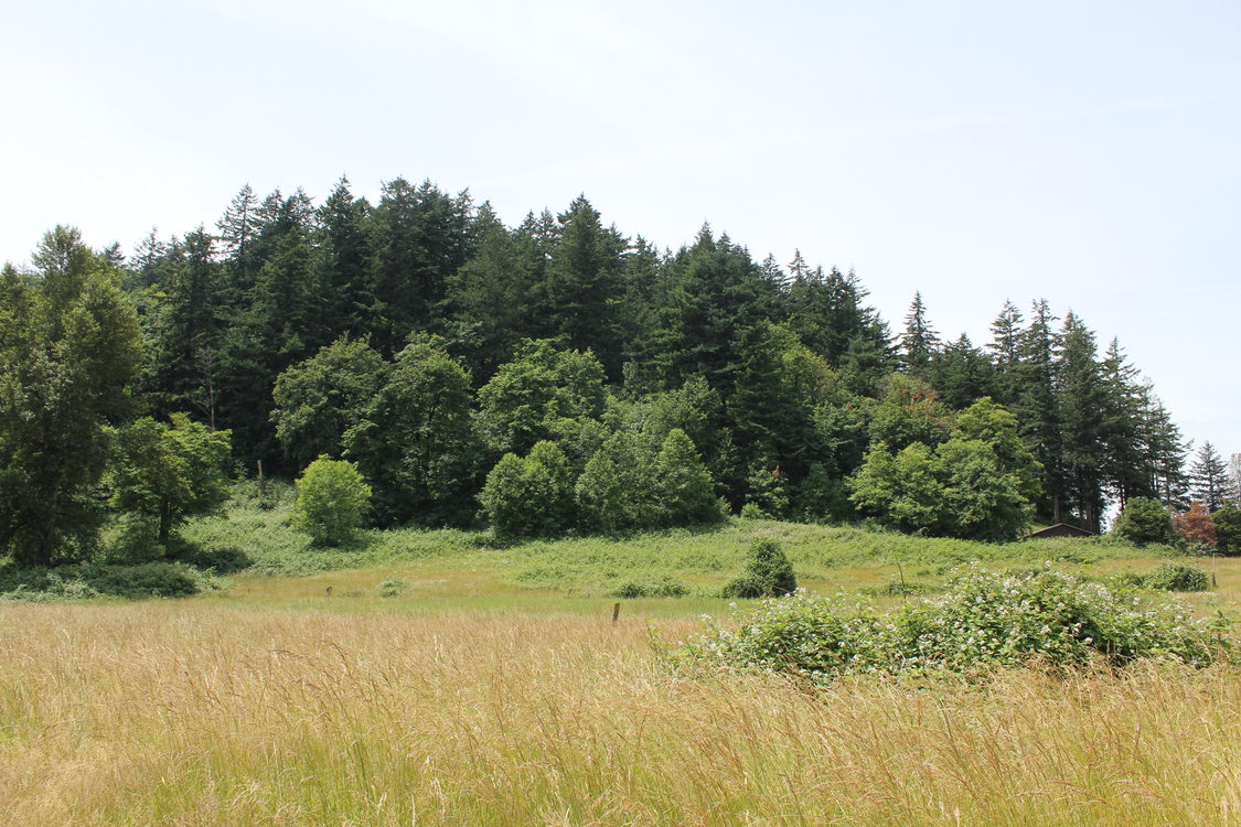 photo of Grant Butte Wetlands