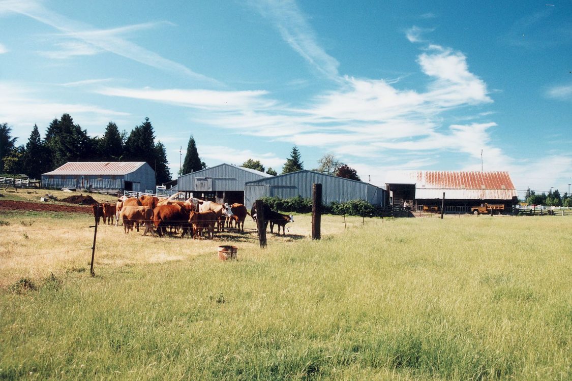 historic photo of Grant Butte Wetlands