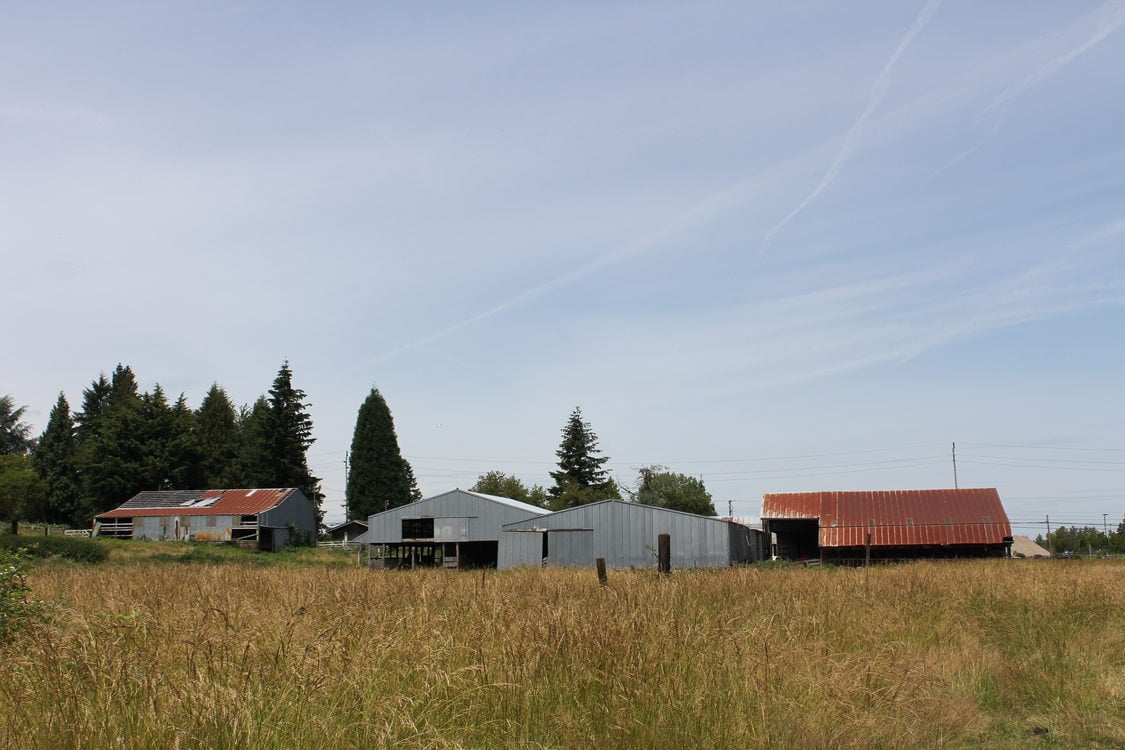 photo of Grant Butte Wetlands