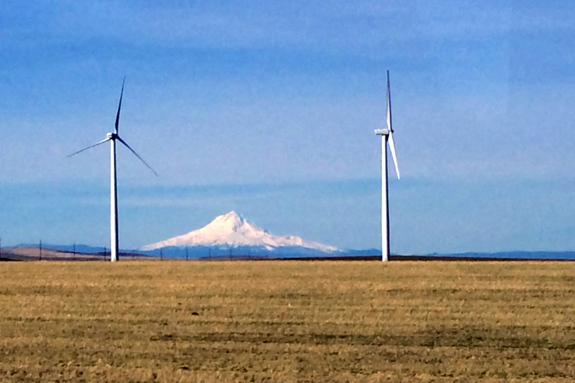 Windmills, wheat and Mount Hood