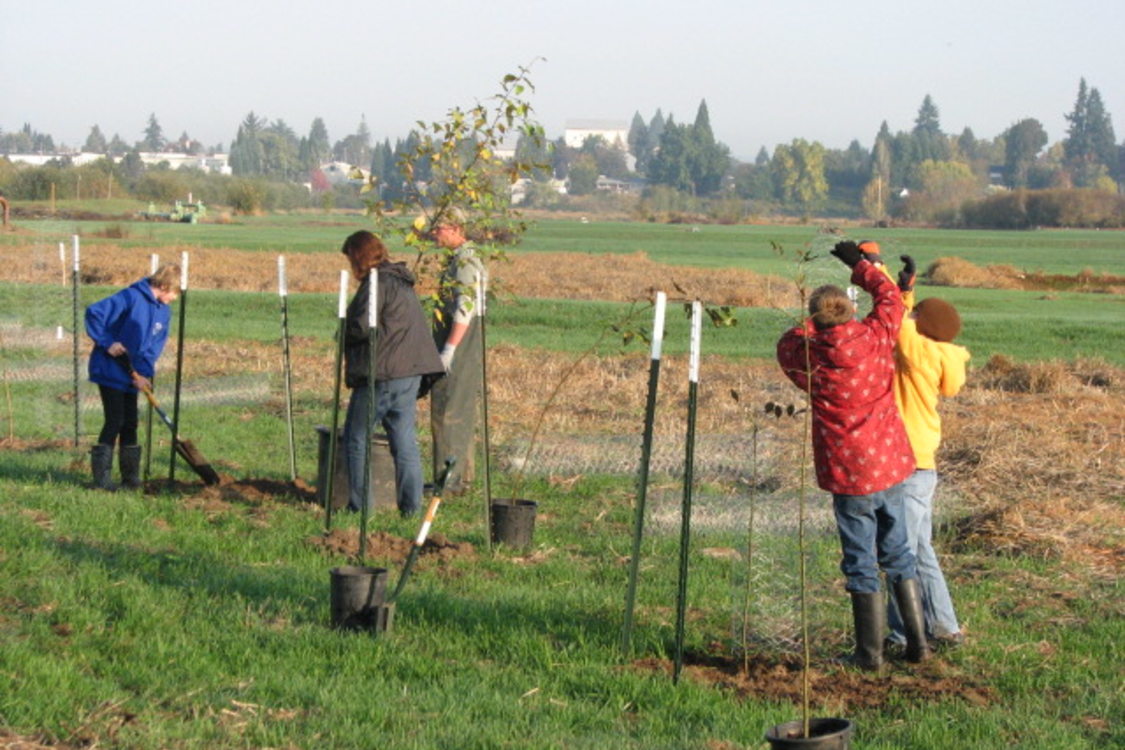 photo of Wapato Marsh