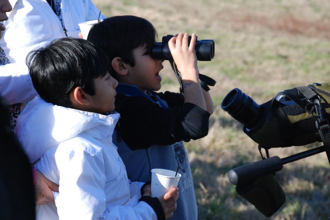 photo of bird watchers