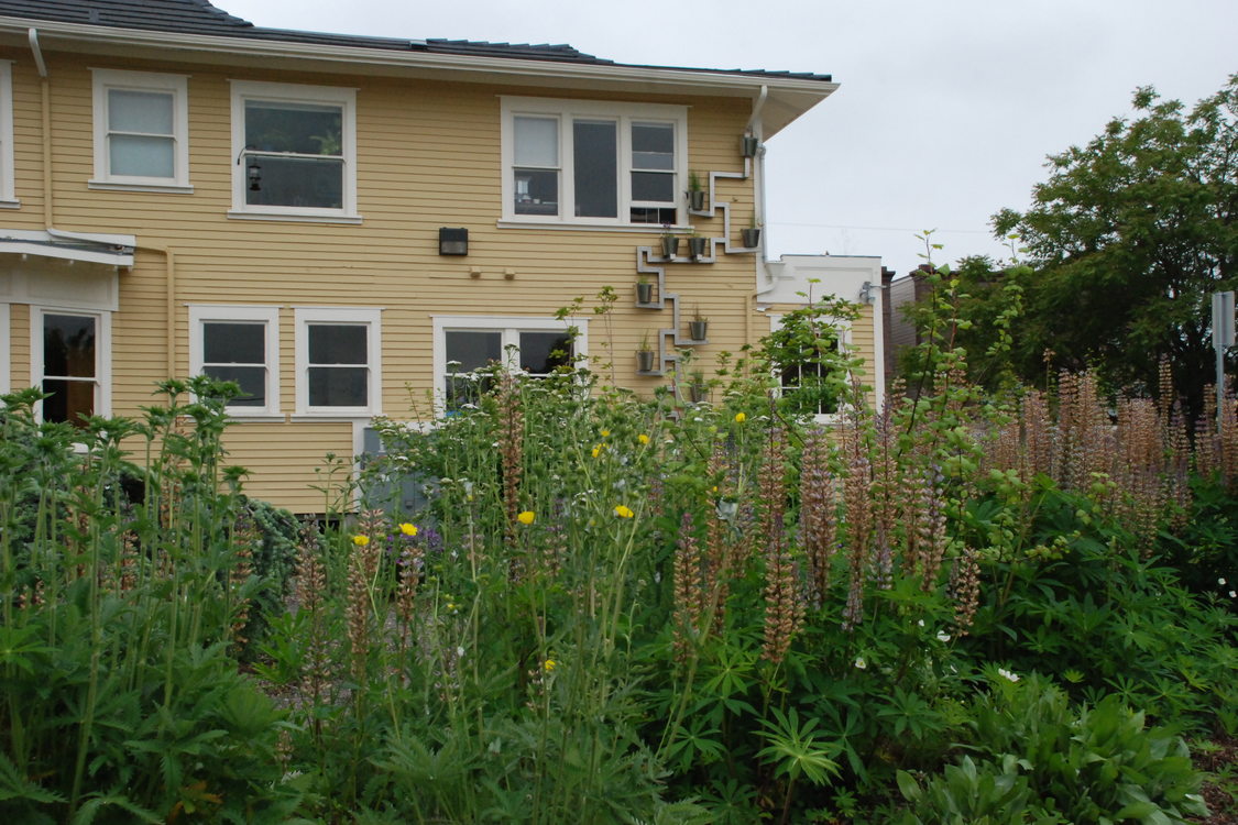 photo of Conservation Corner